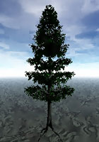 Lab Tree - creating a fur tree