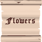 Flowers - 12 tubes