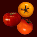 помидоры 95KB